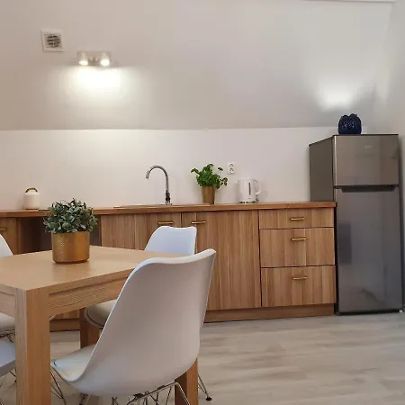 Studio Przy Neptunie - Dluga 55 * 格但斯克