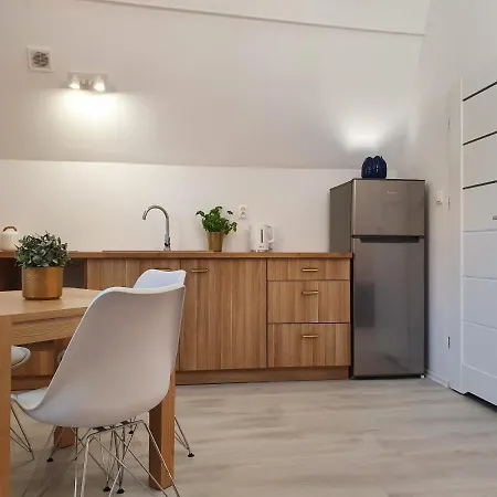 Studio Przy Neptunie - Dluga 55 Apartment